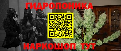 Альфа ПВП Славгород