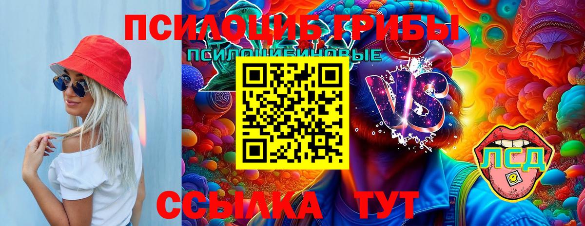 Псилоцибиновые грибы мицелий Рославль