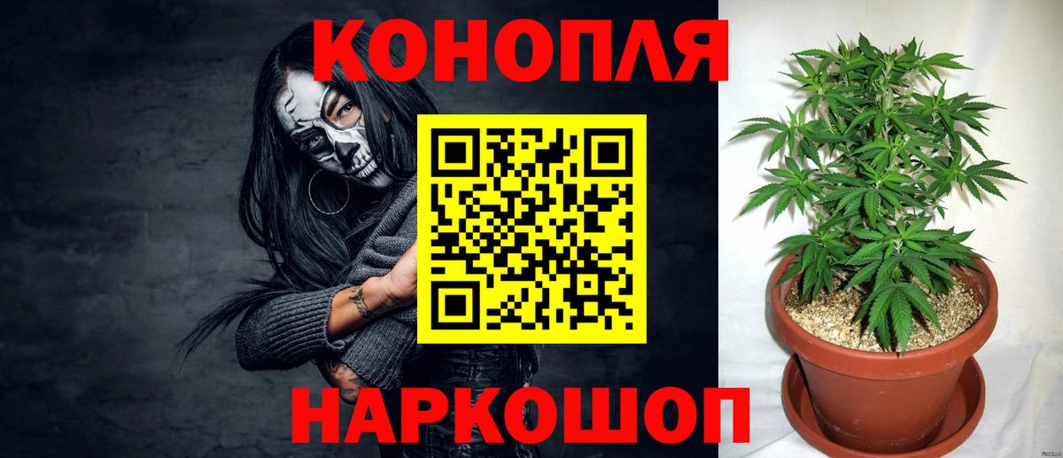 Каннабис конопля  Бошки марихуана план  Рославль  Канабис семена  Вход с VPN  Каннабис марихуана 